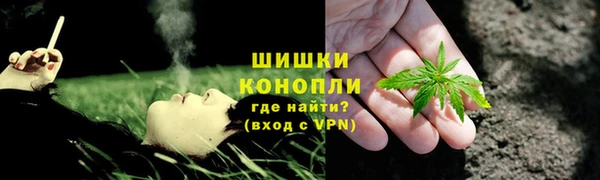 дживик Карпинск