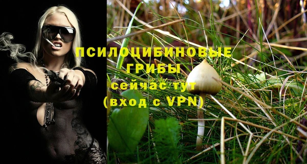 дживик Карпинск