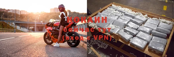дживик Карпинск